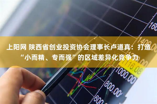 上阳网 陕西省创业投资协会理事长卢道真：打造“小而精、专而强”的区域差异化竞争力