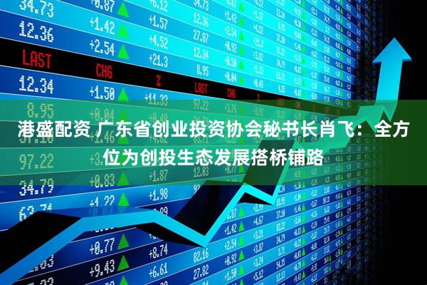 港盛配资 广东省创业投资协会秘书长肖飞：全方位为创投生态发展搭桥铺路