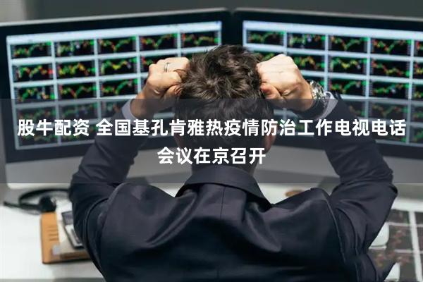 股牛配资 全国基孔肯雅热疫情防治工作电视电话会议在京召开