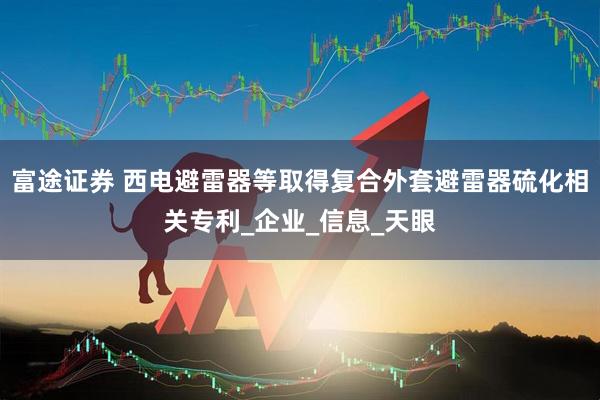 富途证券 西电避雷器等取得复合外套避雷器硫化相关专利_企业_信息_天眼
