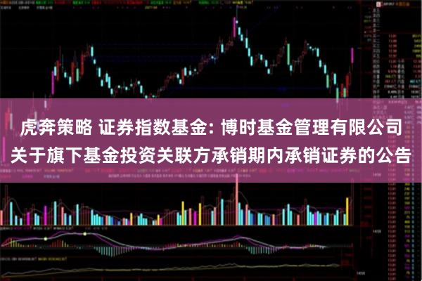 虎奔策略 证券指数基金: 博时基金管理有限公司关于旗下基金投资关联方承销期内承销证券的公告